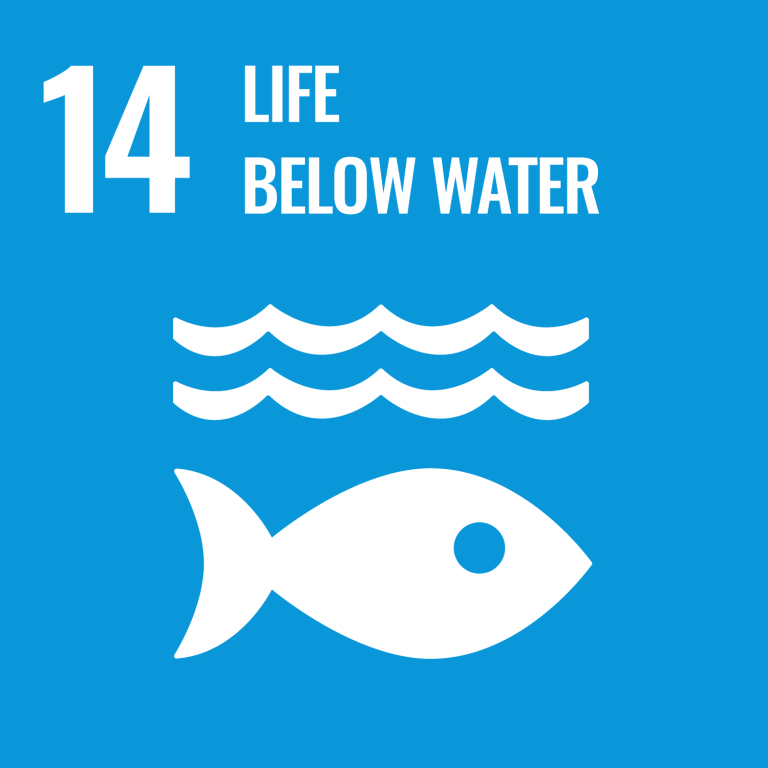 Life Below Water (SDG 14)